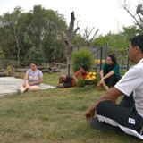 Las cinco conductas que te liberan - Humanauta སྲི་རམ།
