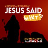 Jesus said what?! #15 [Morning Devo]
