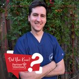 Your Pet Could Save a Life: Blood Donor Programs for Dogs and Cats with Dr. Pierre Charlebois, DACVECC