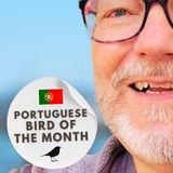NOT The 'Lesser-Spotted American Expat', It's The Old Guy's 'Portuguese Bird of The Month'
