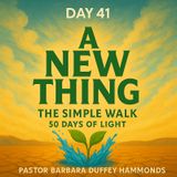 Day 41 – A New Thing