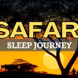 Deep Sleep Safari Meditation _ Fall Asleep Fast with a Peaceful African Night Journey(M4A_128K)