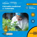 Todo lo que debes saber sobre el cannabis medicinal en Colombia: riesgos, beneficios y su regulación