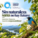 NUESTRO OXÍGENO Sin naturaleza sana no hay futuro. Colombia nuestra riqueza, nuestra responsabilidad