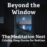 Calming Sleep Story for Overthinking | Beyond the Window