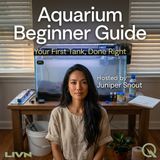 Aquarium Beginner Guide - Dive into your first tank with Juniper Snout