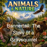 Bannertail The Story of a Graysquirrel - Ernest Thompson Seton