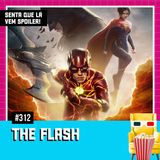 EP 312 - The Flash