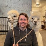 Episode 3: Alpacas