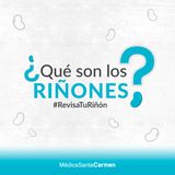 ¿Qué son los riñones? Síntomas iniciales de enfermedad renal y factores de riesgo