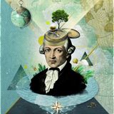 Kant, il fenomeno e l'illusione