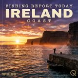 Irish Spring Angling: Pollock, Mackerel, and Evening Tide Magic