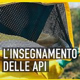 Le api ci insegnano il valore del cibo. Con Paolo Fontana