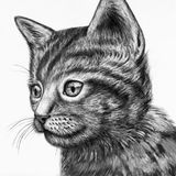 The Wonderful Dog and Cat | Unknown Fairy Tales