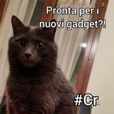 #Cremona Sparacroccantini per cani