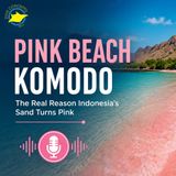 Pink Beach Komodo — The Real Reason Indonesia's Sand Turns Pink | Dive Concept
