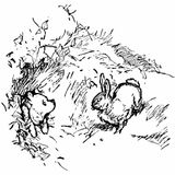Winnie Pooh: Atrapado en casa del conejo | Cuentos Infantiles