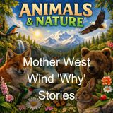Mother West Wind 'Why' Stories - Thornton W Burgess