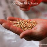 ✨ Essere Seminatori Naturali✨