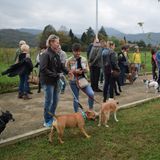 Al Parco Canile torna Schiodinzolando, la festa per gli amici a quattro zampe