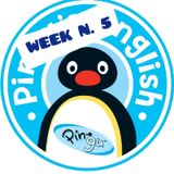 Pingu's 5th week Summer Camp 2026