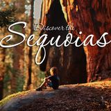 Sintia Kawasaki-Yee - Visiting Sequoia and Kings Canyon National Parks