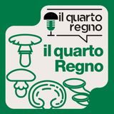 Il Quarto Regno
