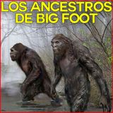 Los Ancestros de Big Foot
