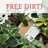 Episode 300 - How to avoid $10,000 compost
