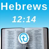 Hebrews 12:14 | Pursue Peace and Holiness