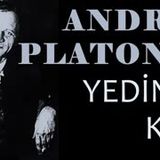 Yedinci Kişi  Andrey PLATONOV sesli kitap tek parça