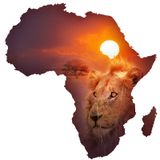Africa's Vital Role In Christianity!