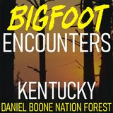 BIGFOOT ENCOUNTERS FROM THE DANIEL BOONE NATIONAL FOREST IN KENTUCKY | IT CAME DOWN THE MOUNTAIN TO OUR CAMP