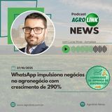 Produção de camomila paranaense movimenta R$ 15 milhões