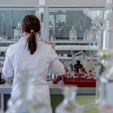 De las patentes de medicamentos a la música de las bodas: los peligros de las leyes sobre propiedad intelectual