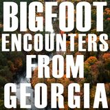 BIGFOOT EXPERIENCES AND ENCOUNTERS FROM GEORGIA STATE | THE CREATURE CROSSED THE ROAD!!!