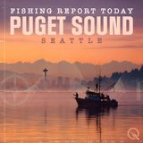 Puget Sound Fishing Report: Coho Crush, Chinook Hang, and Squid Sizzle in the Drizzle