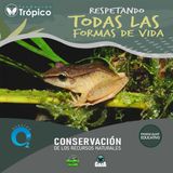 NUESTRO OXÍGENO Conservación de los recursos naturales – Fund. Trópico- Ana Elvia Arana