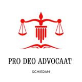 De uitdagingen waar pro deo advocaten mee te maken hebben.