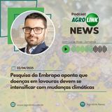 Brasil registra segunda maior safra de cana