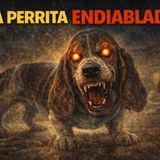 Historias de Miedo Enero 13 de 2026 LA PERRITA ENDIABLADA