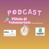 Noi, portatori di solidarietà