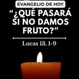 "Si no os convertís, todos pereceréis" | Sábado 24 Oct (Lucas 13, 1-9)