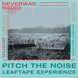 PITCH THE NOISE RECORDS Intervista