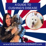 A Guide To Cushing's Disease In Dogs
