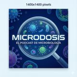 H3N2 en España: ¿Por qué caen tantos jóvenes con la nueva variante K?