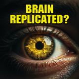 Has AI Already Replicated the Human Brain? Moran Cerf's Warning