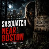 PEEKING SASQUATCH WATCHES WITNESS NEAR BOSTON, MASSACHUSETTS