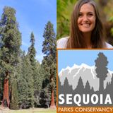 Katie Wightman - Sequoia Parks Conservancy