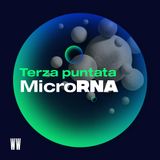 Il MicroRNA